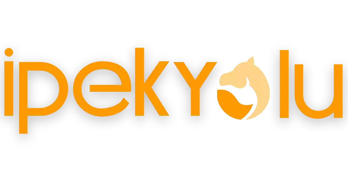 Ipekyolu Forum - Silkroad Online'a Dair Her Şey